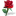 Virág @}->-